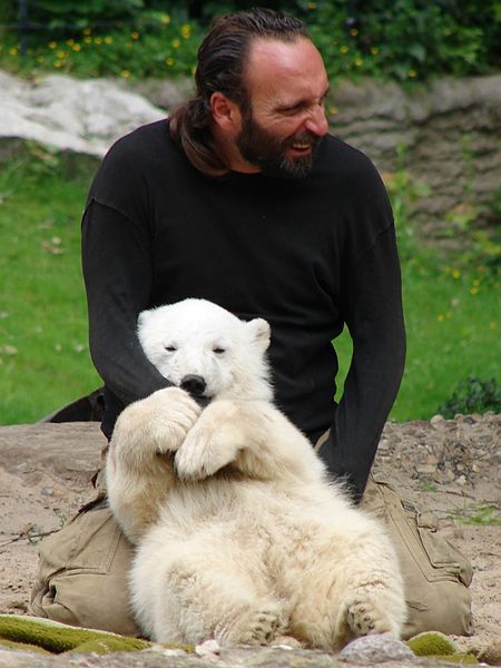 Berlin Zoo polar bear attack