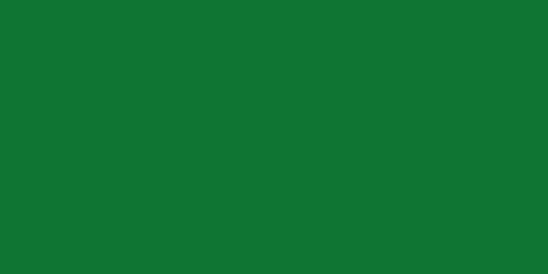 Libya flag green