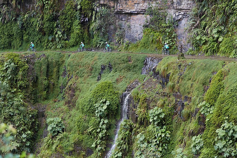 Yungas Road