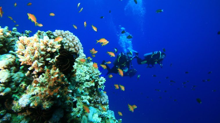 world's most dangerous diving site