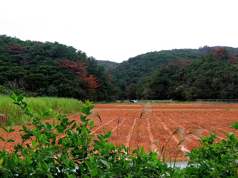 Okinawa