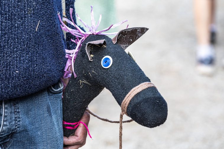 hobby horsing