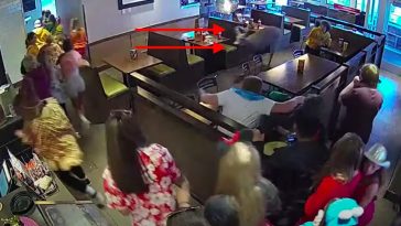 deer runs thru restaurant