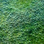 green slime nyc manhole