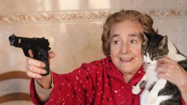 cats and Schizophrenia