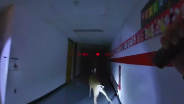 deer runs thru nj school