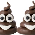 lawyer suspended tossing poop