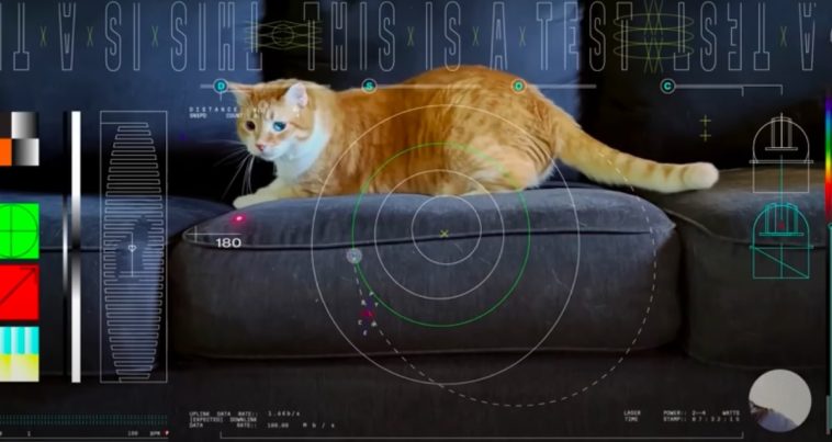 nasa cat laser video