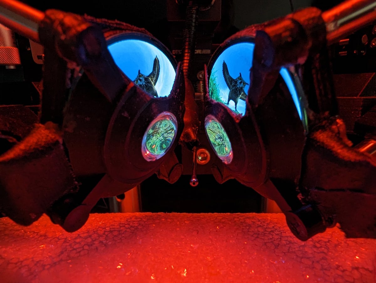 vr headset for mice