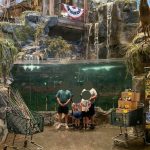 alabama man jumps naked into aquarium