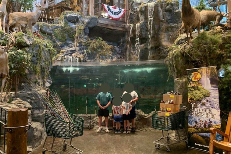 alabama man jumps naked into aquarium