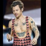 harry styles stalker