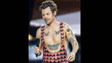 harry styles stalker