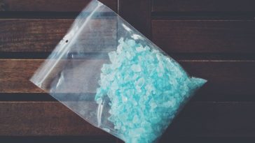 lady calls cops on meth dealer